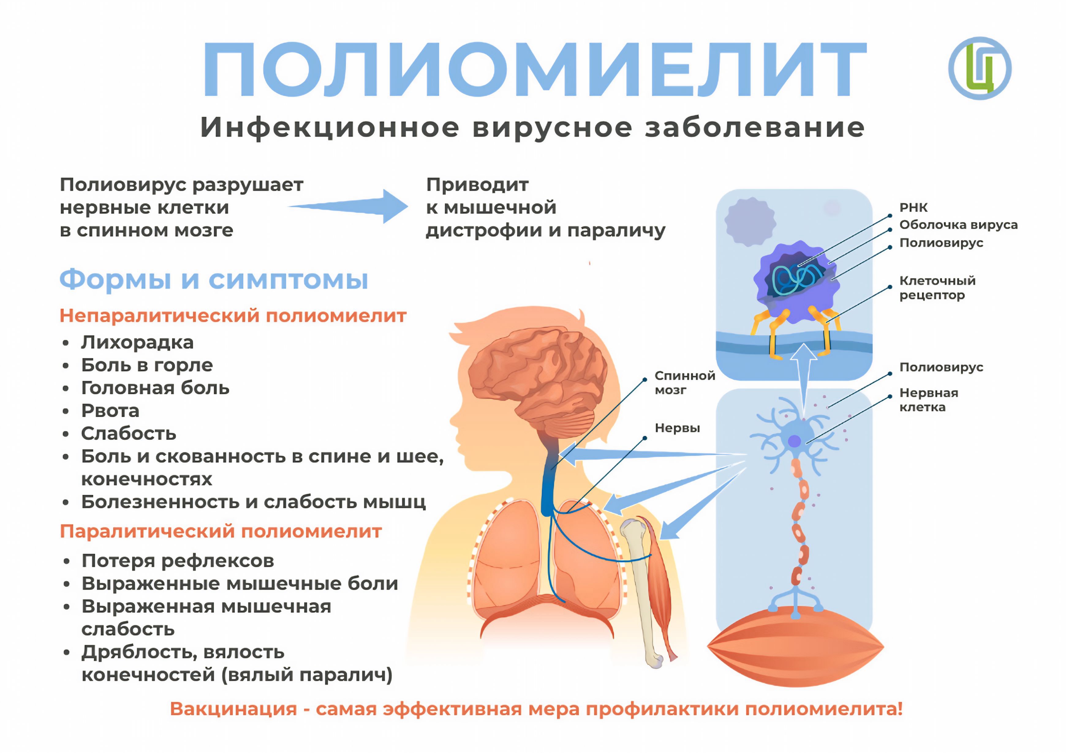 Санитарный щит страны – безопасность для здоровья Санитарный щит страны – безопасность для здоровья.